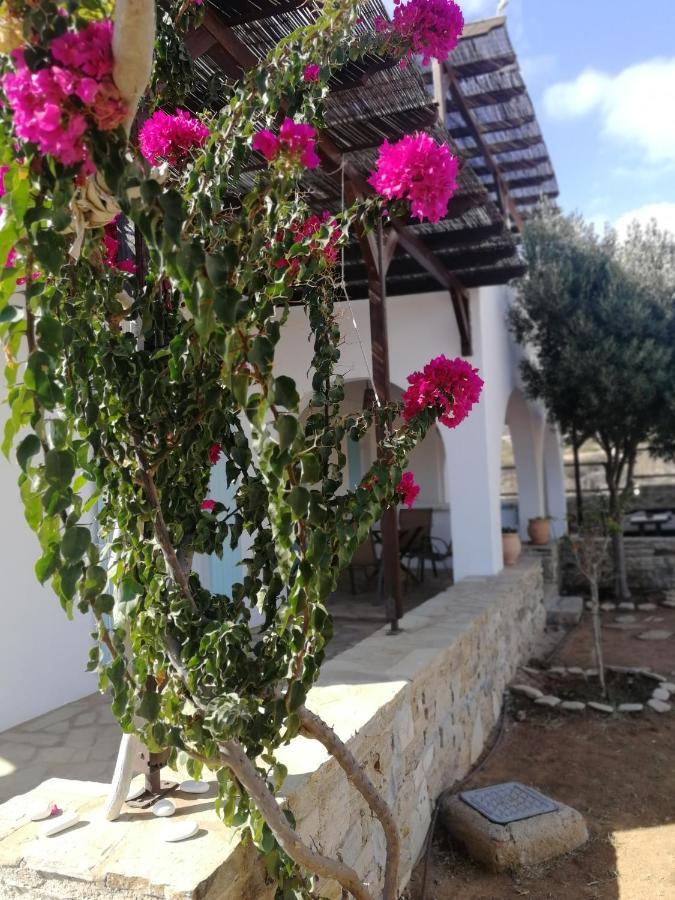 Gio St Gio Apartment 1 Antiparos St.Giorgio ภายนอก รูปภาพ