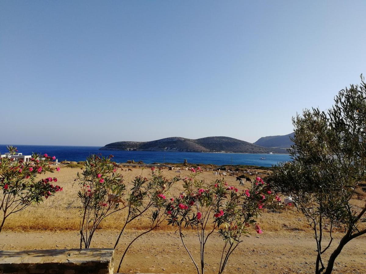 Gio St Gio Apartment 1 Antiparos St.Giorgio ภายนอก รูปภาพ